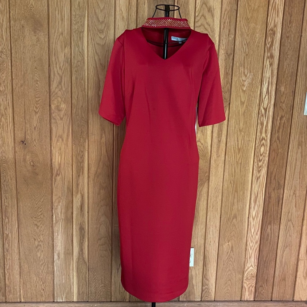 Lily & Taylor New York Red Dress